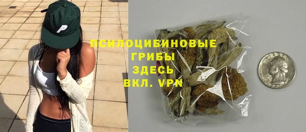 гидропоника Каменногорск